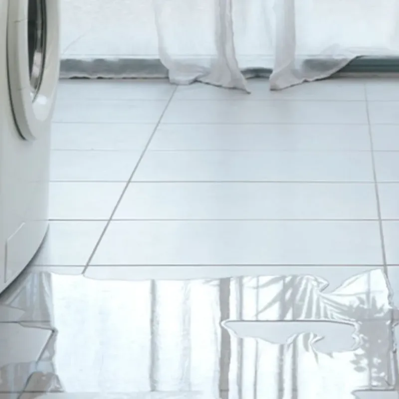 Appliance Leak Cleanup in Madawaska, ME