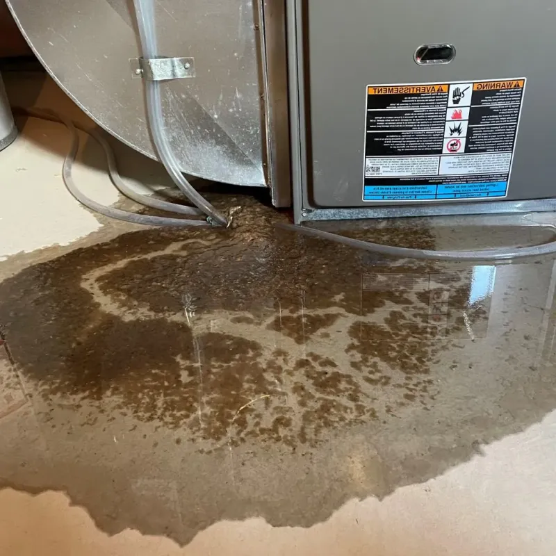 Pipe Burst and Leak Restoration in Madawaska, ME